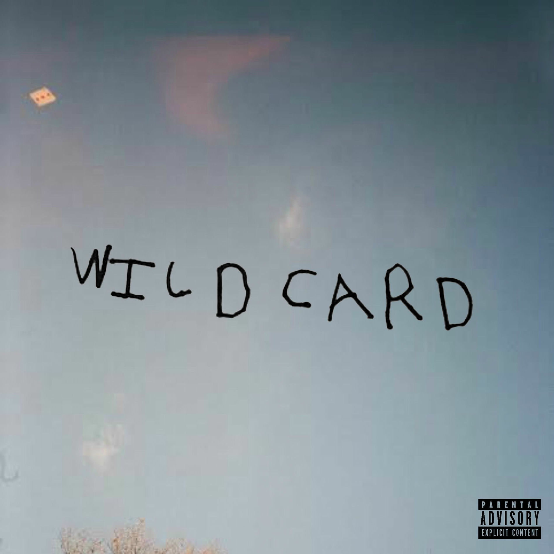 Album cover of Wild Card