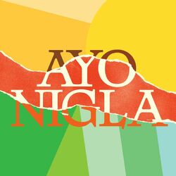 Cover of Ayo Nigla