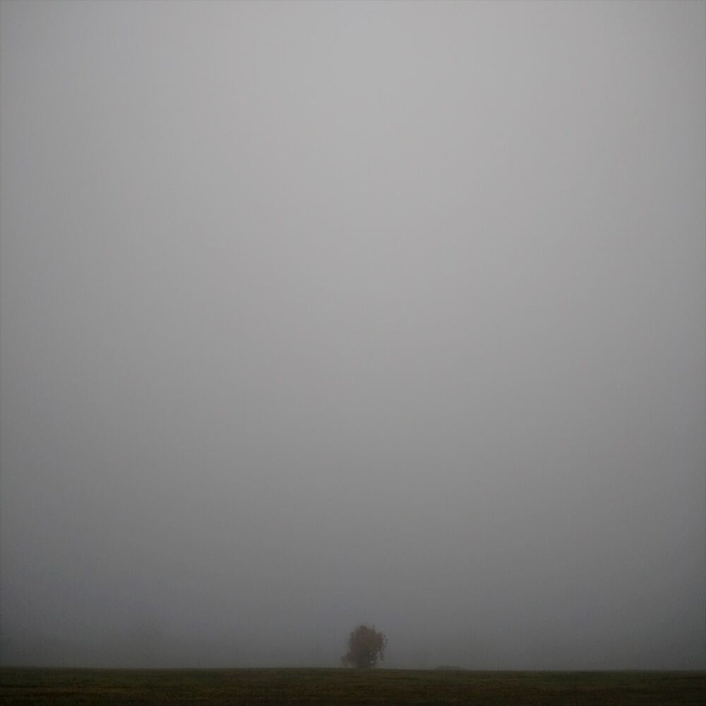 Picture of Desolate