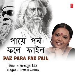 Cover of Pae Para Fae Fail