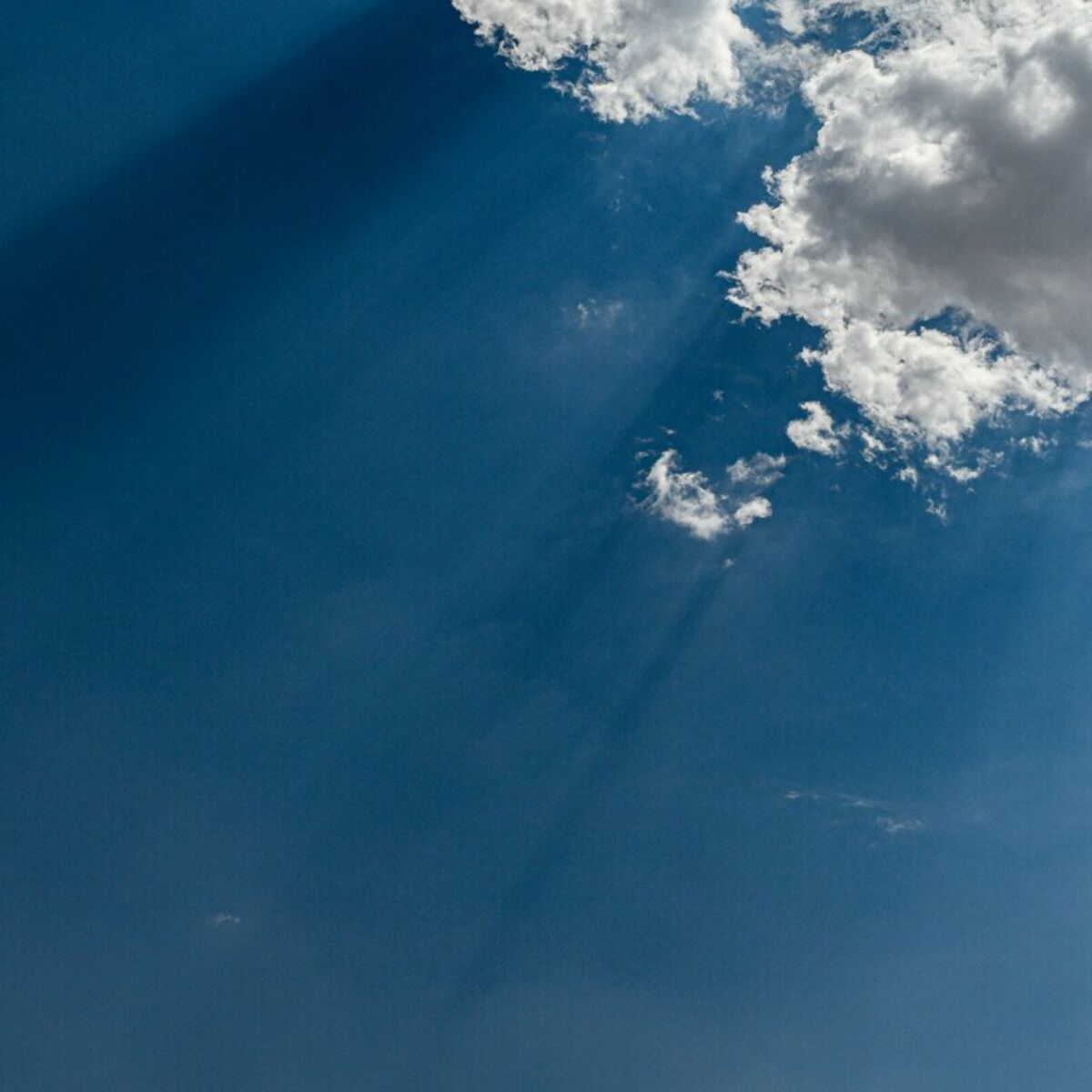 Album cover of Hallelujah Praise Yahweh (Live)