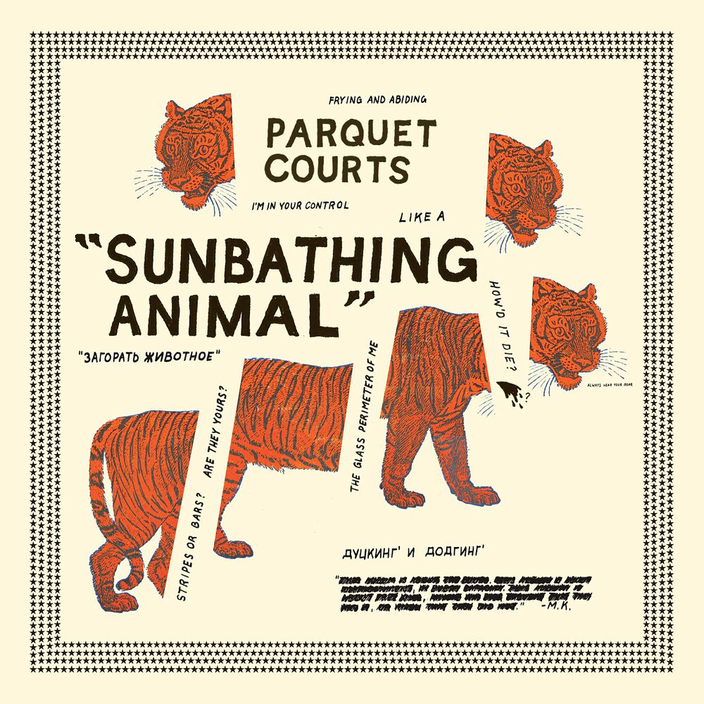 Picture of Sunbathing Animal