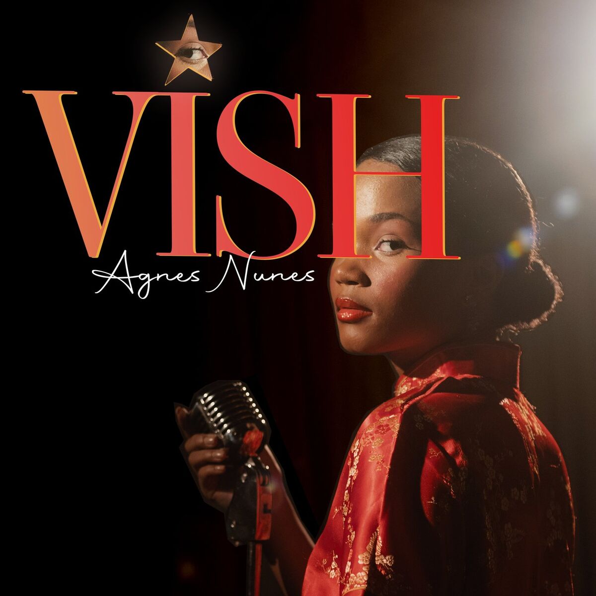 Album cover of Vish