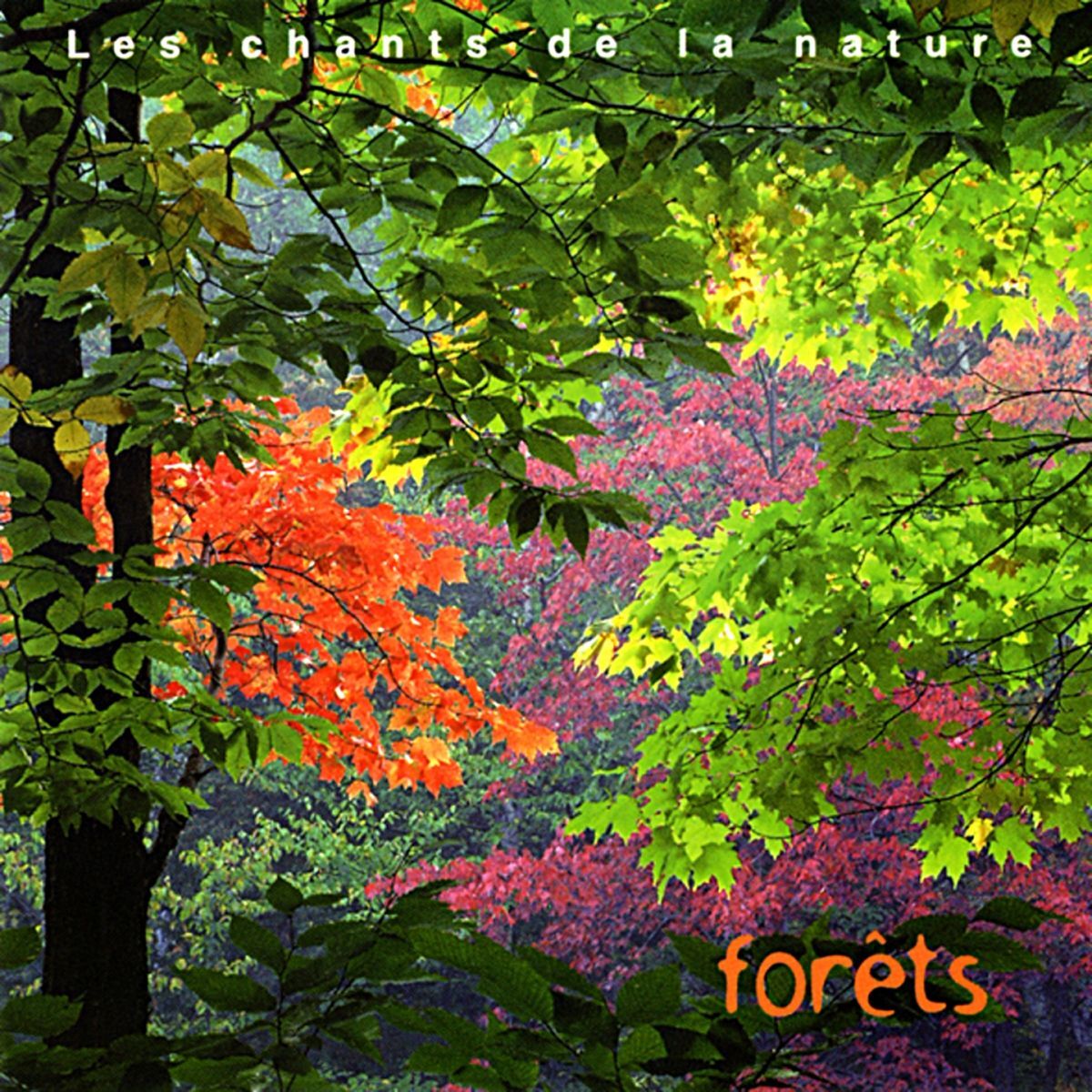 Album cover of Les chants de la nature : Forêts