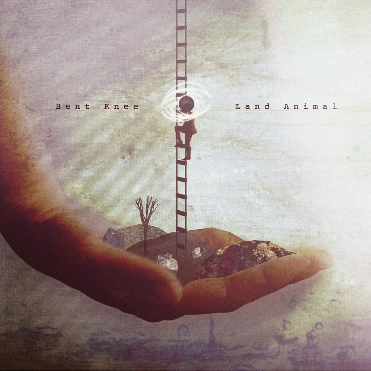 Album cover of Land Animal