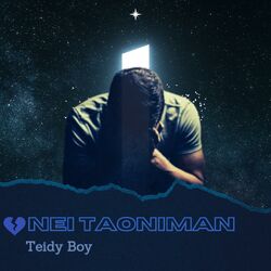 Cover of Nei Taoniman