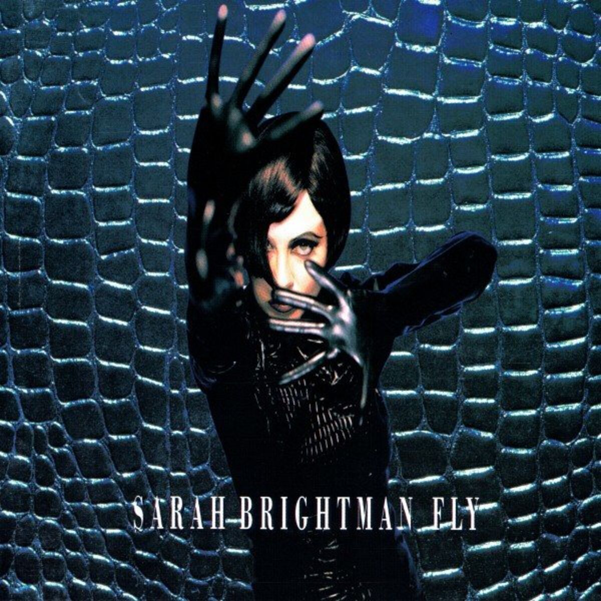 Album cover of Fly