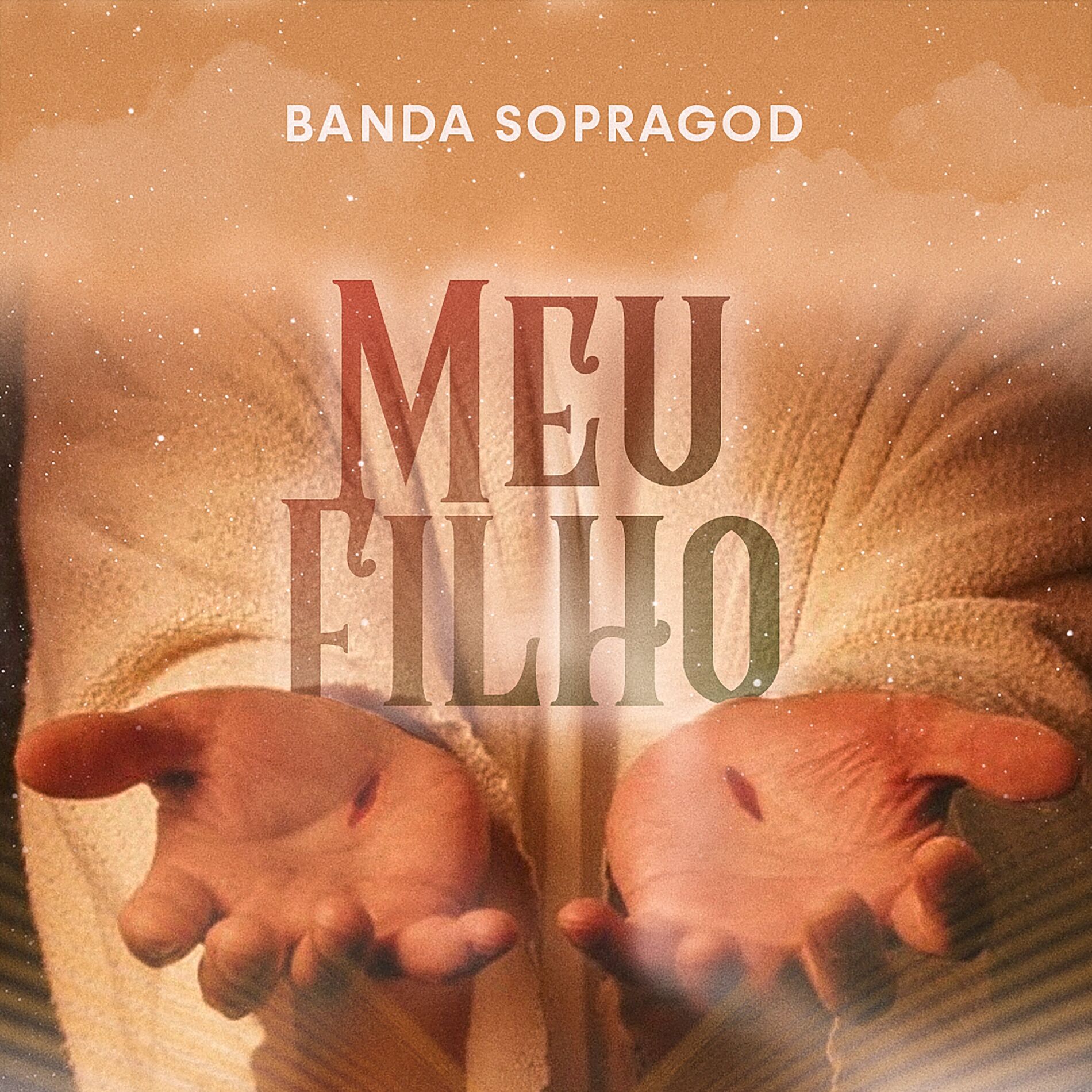 Album cover of Meu Filho (Acoustic)