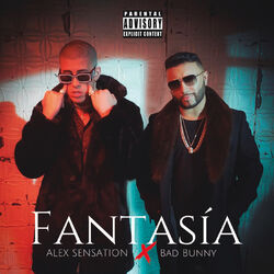Cover of Fantasía