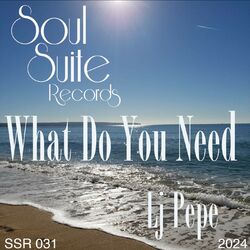 Cover of What Do You Need