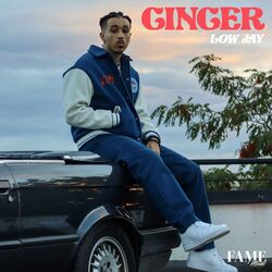 Cover of Ginger