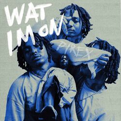 Cover of Wat im On