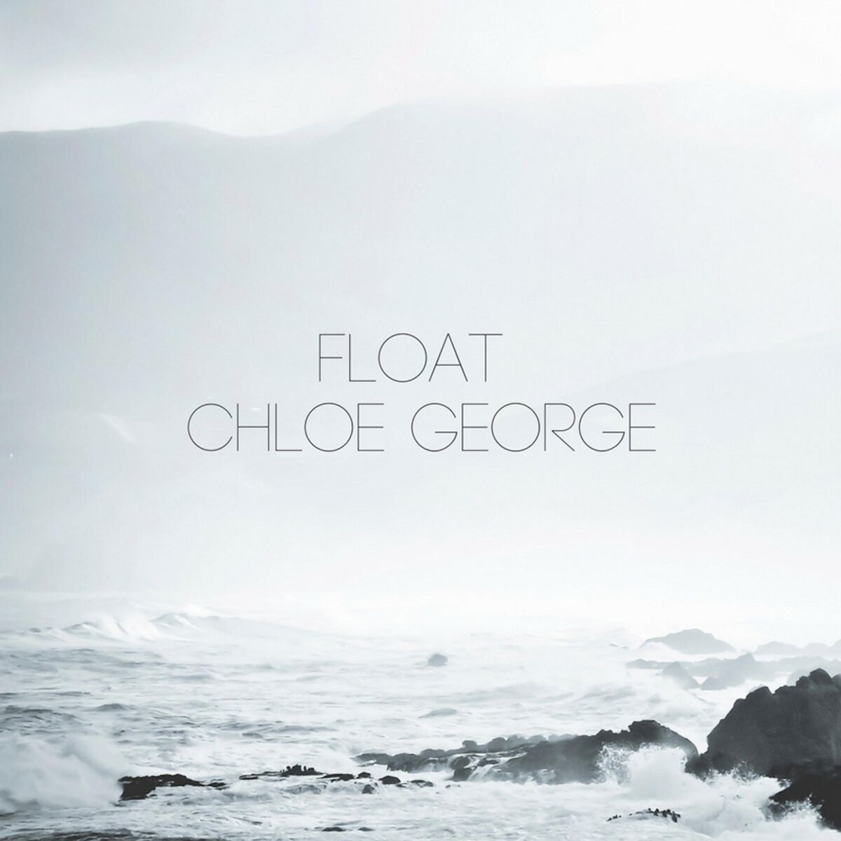 Album cover of Float