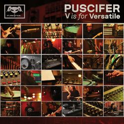 Cover of V Is for Versatile