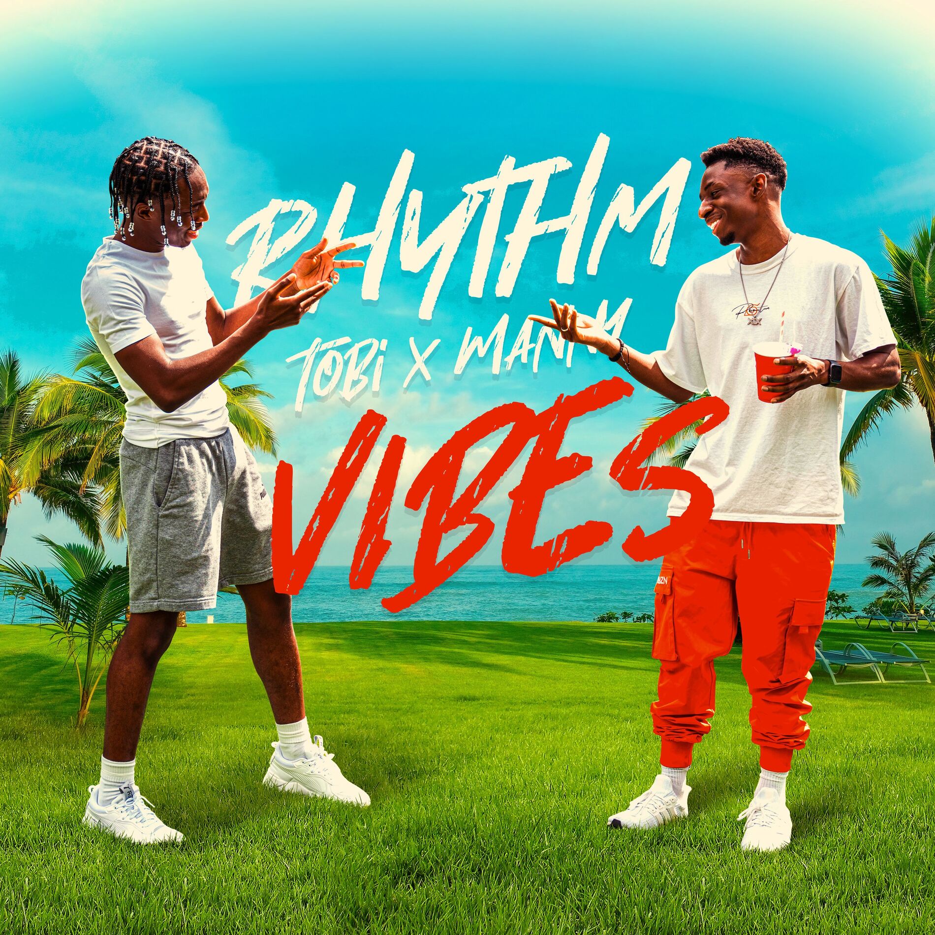 Album cover of Rhythm & Vibes