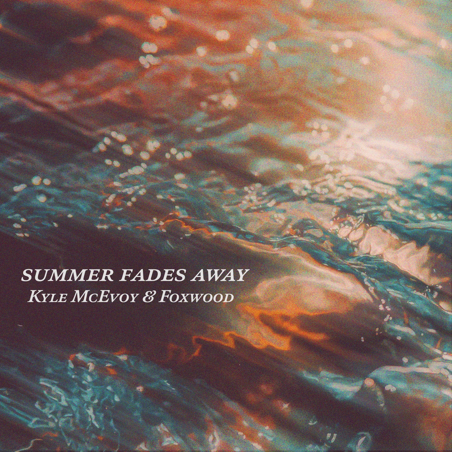 Album cover of summer fades away