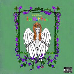 Cover of i'm not free