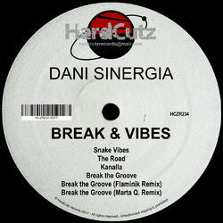 Cover of Break & Vibes