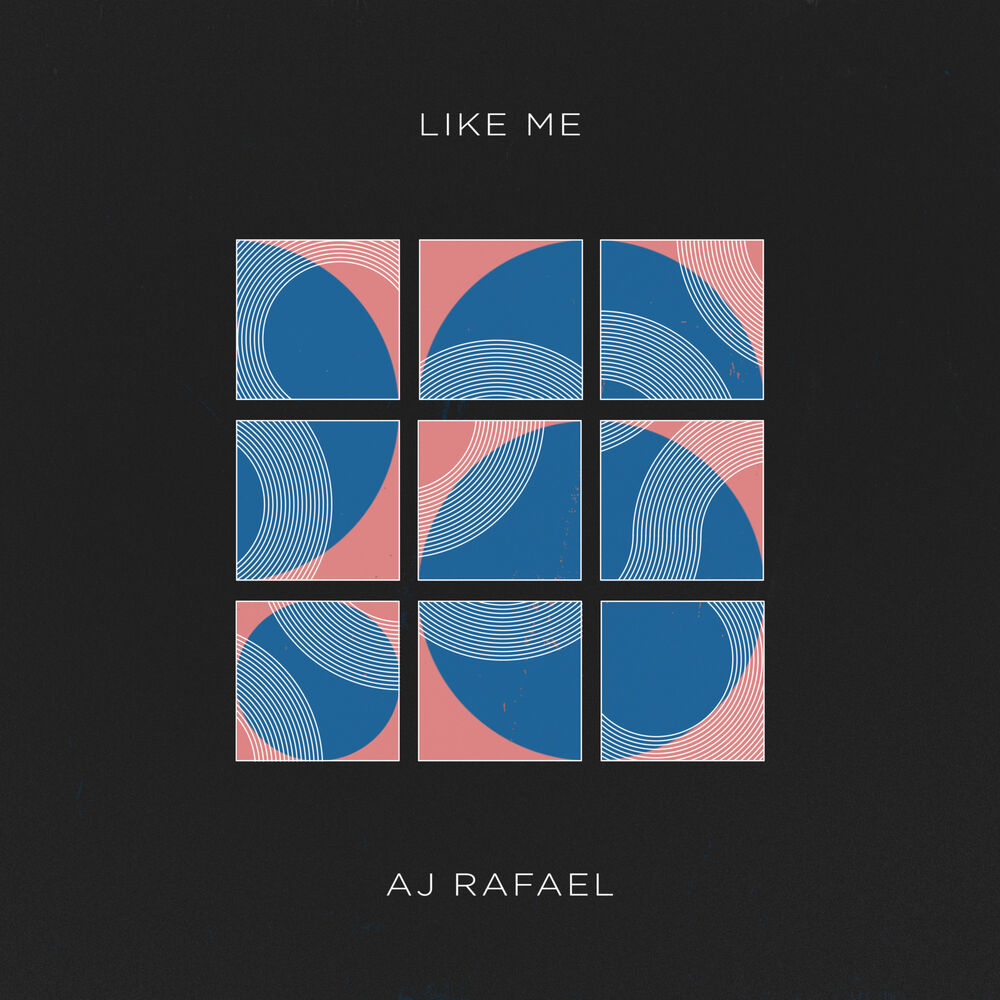 Picture of Like Me
