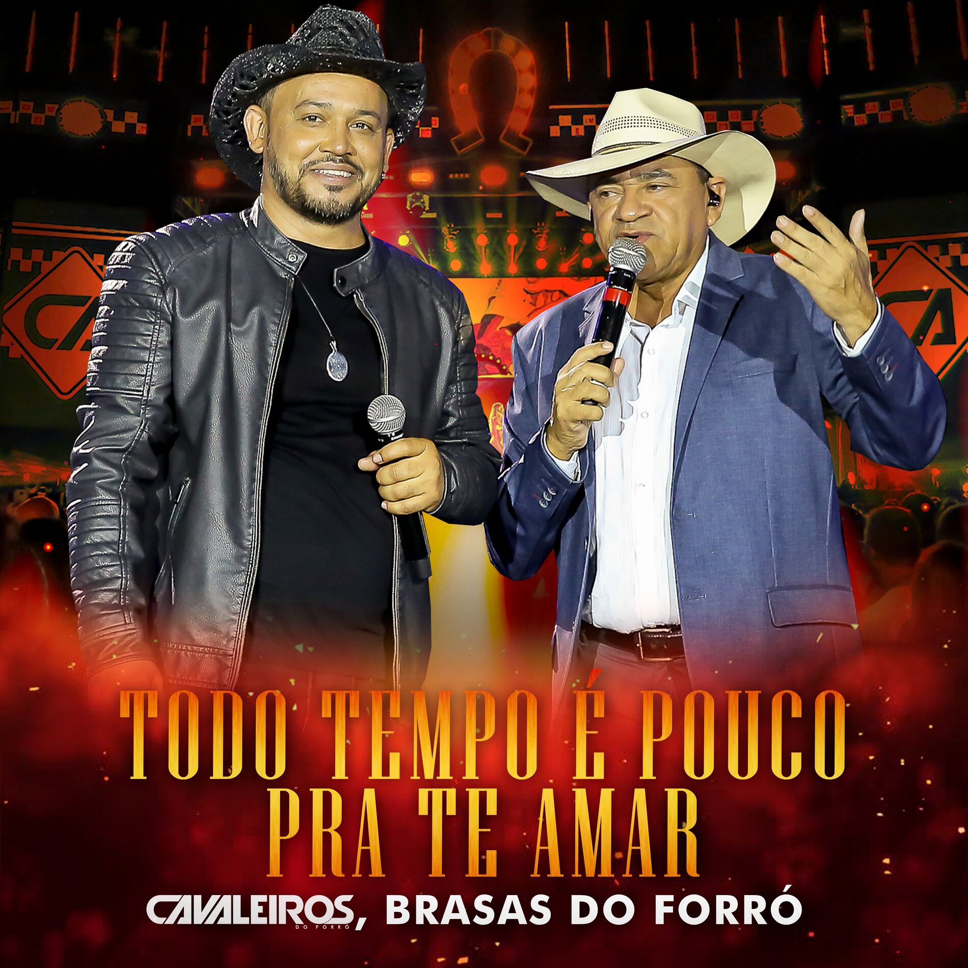 Album cover of Todo Tempo É Pouco pra Te Amar