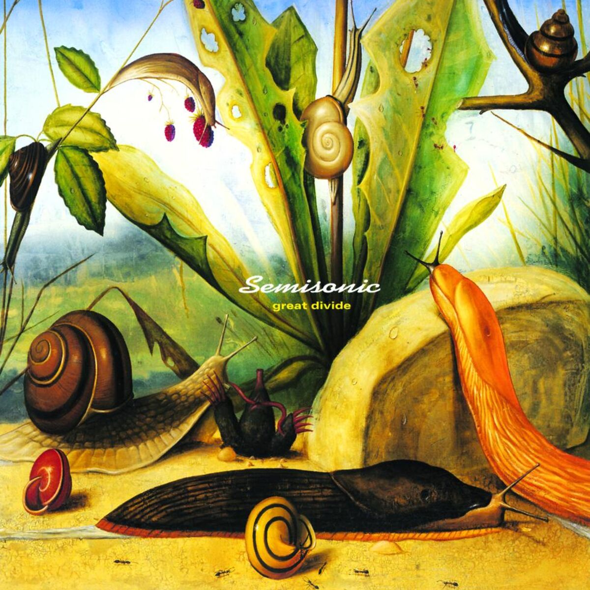Album cover of Great Divide