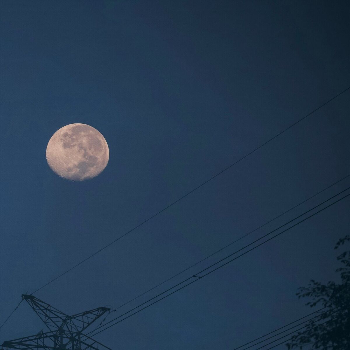 Album cover of blue