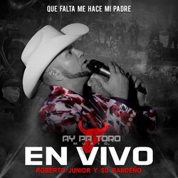 Cover of Que Falta Me Hace Mi Padre (En Vivo)