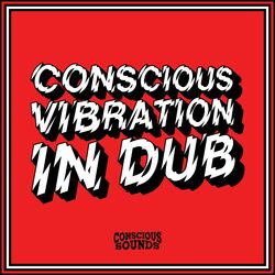 Cover of Vibration in Dub