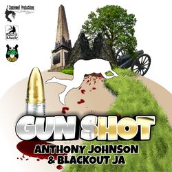 Cover of Gun Shot
