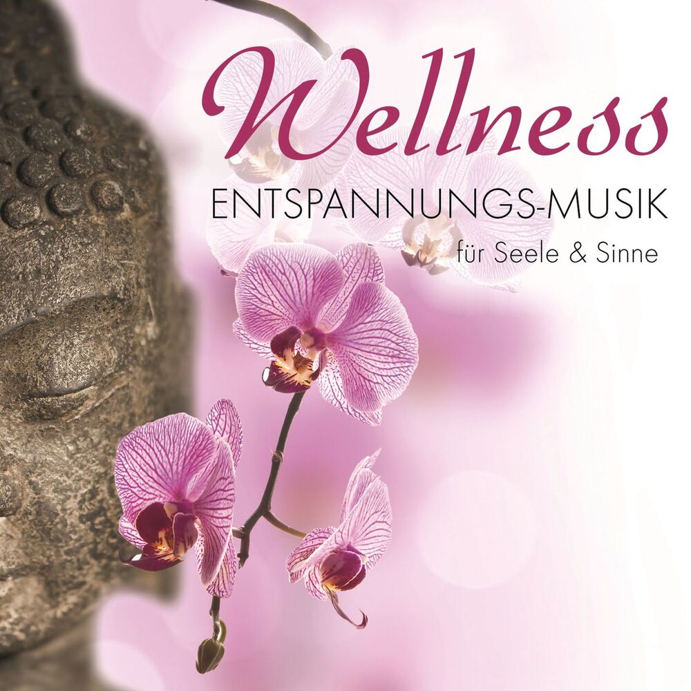 Picture of Wellness - Entspannungs-Musik für Seele & Sinne