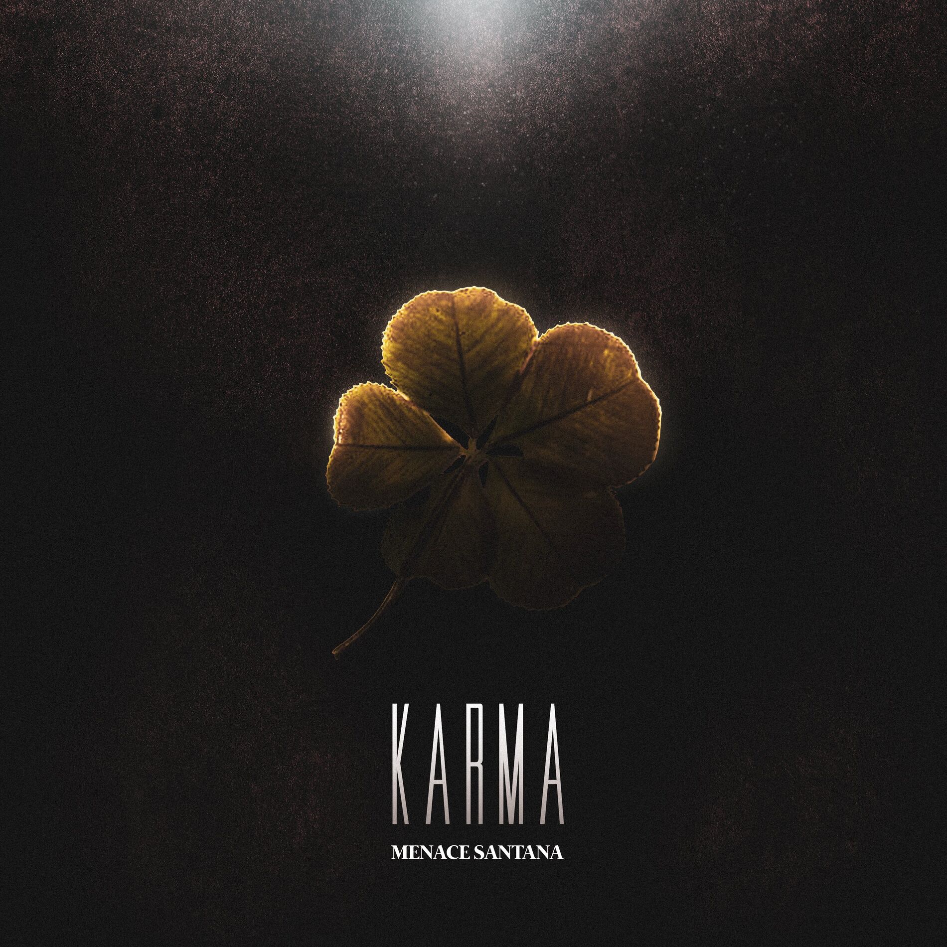 Album cover of Freestyle Karma