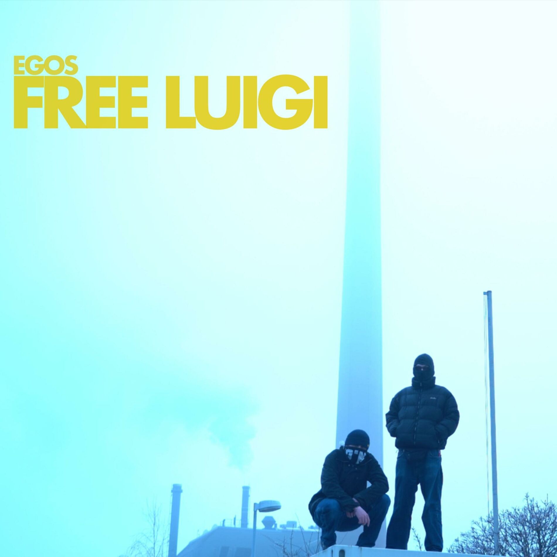Album cover of FREE LUIGI