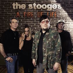 Cover of A Fire Of Life