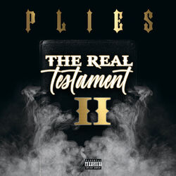 Cover of The Real Testament II