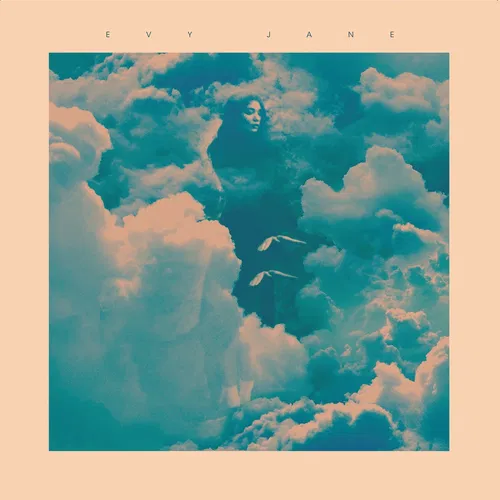 Capa de Sosoft