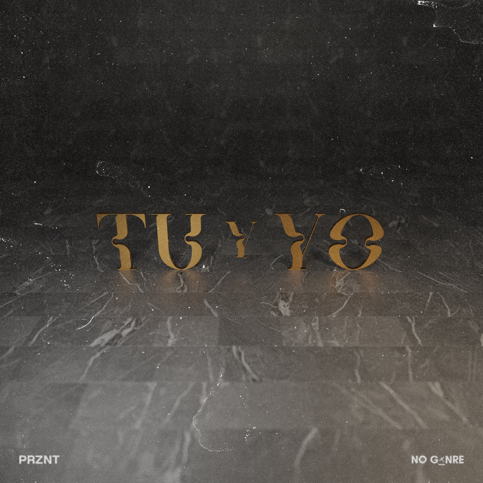 Album cover of Tu y Yo