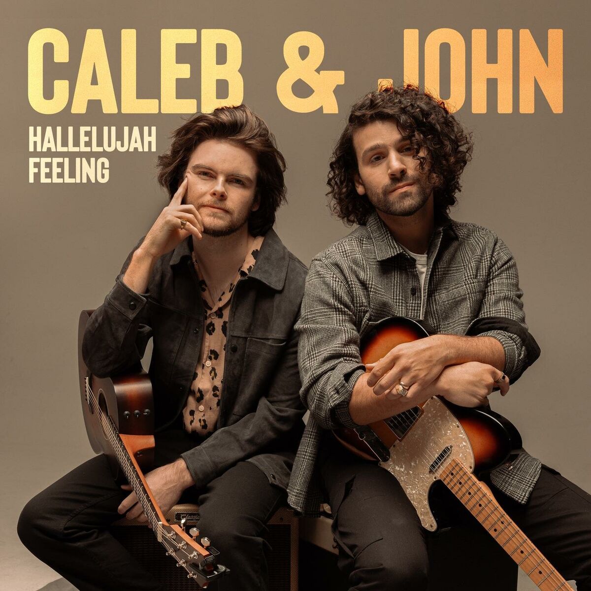 Album cover of Hallelujah Feeling