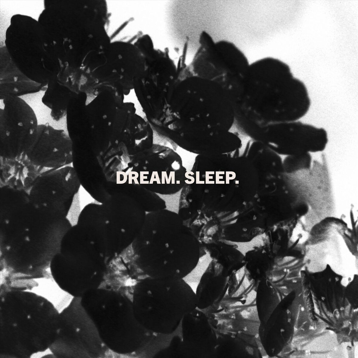 Album cover of Dream. Sleep.