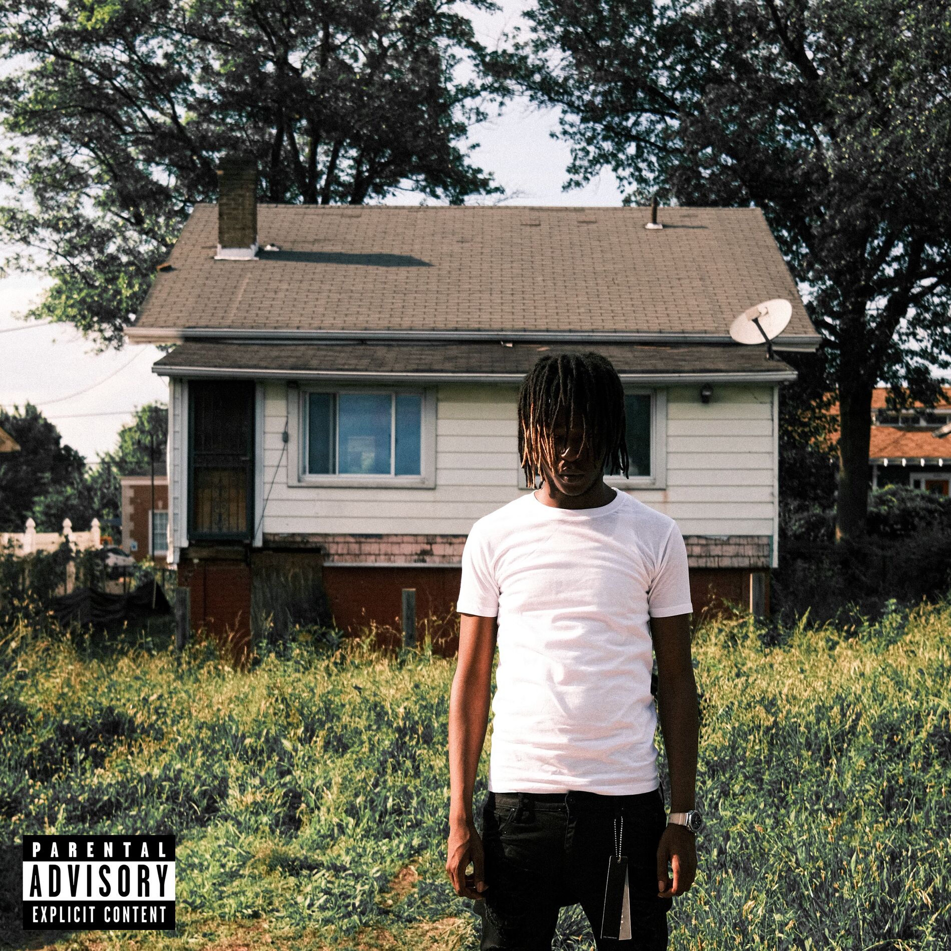 Album cover of DMVP