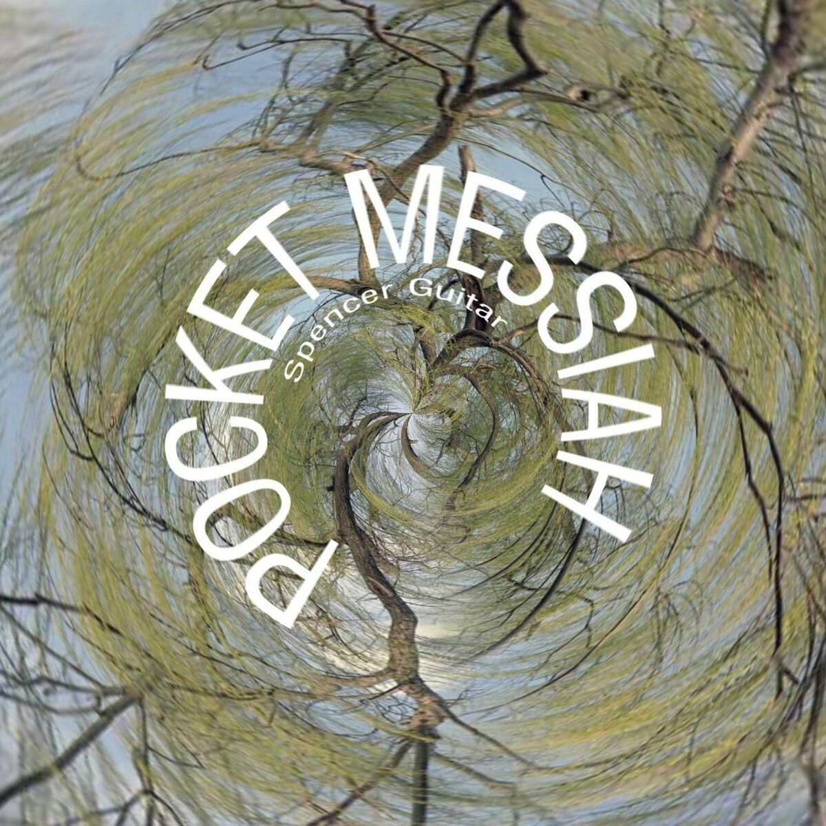 Album cover of Pocket Messiah