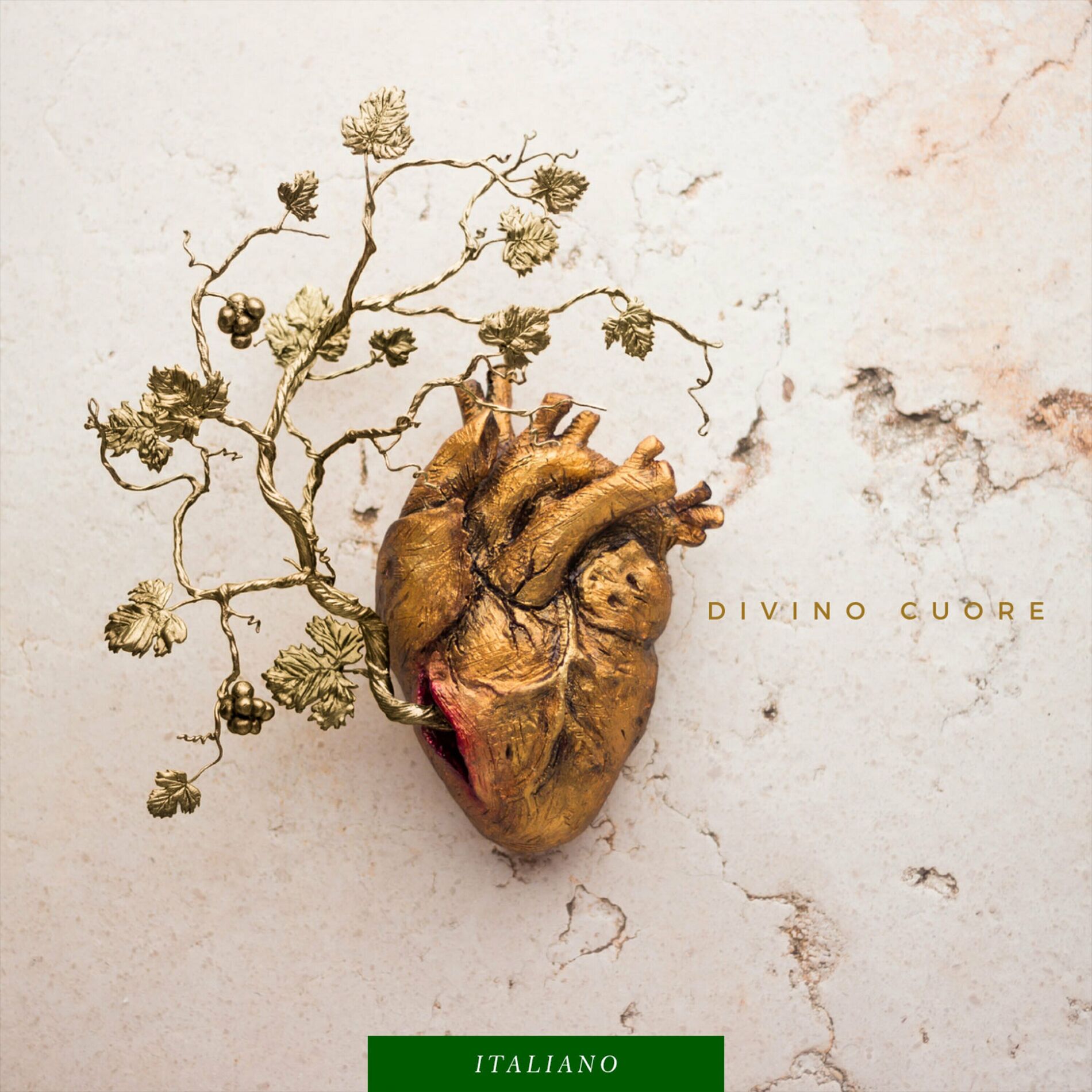 Album cover of Divino Cuore