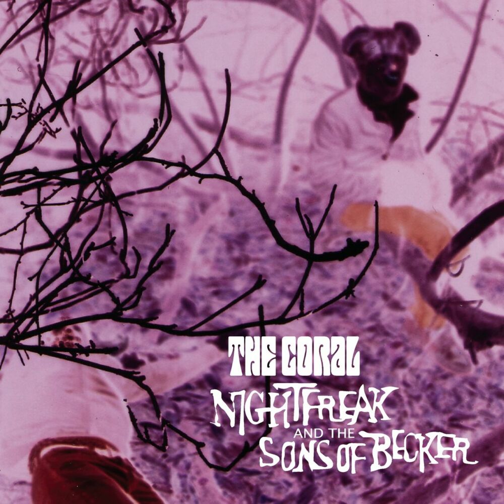 Picture of Nightfreak And The Sons Of Becker