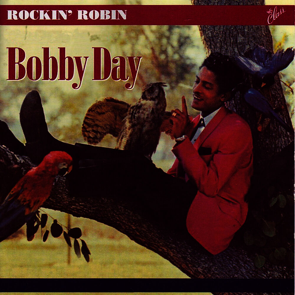 Picture of Rockin' Robin