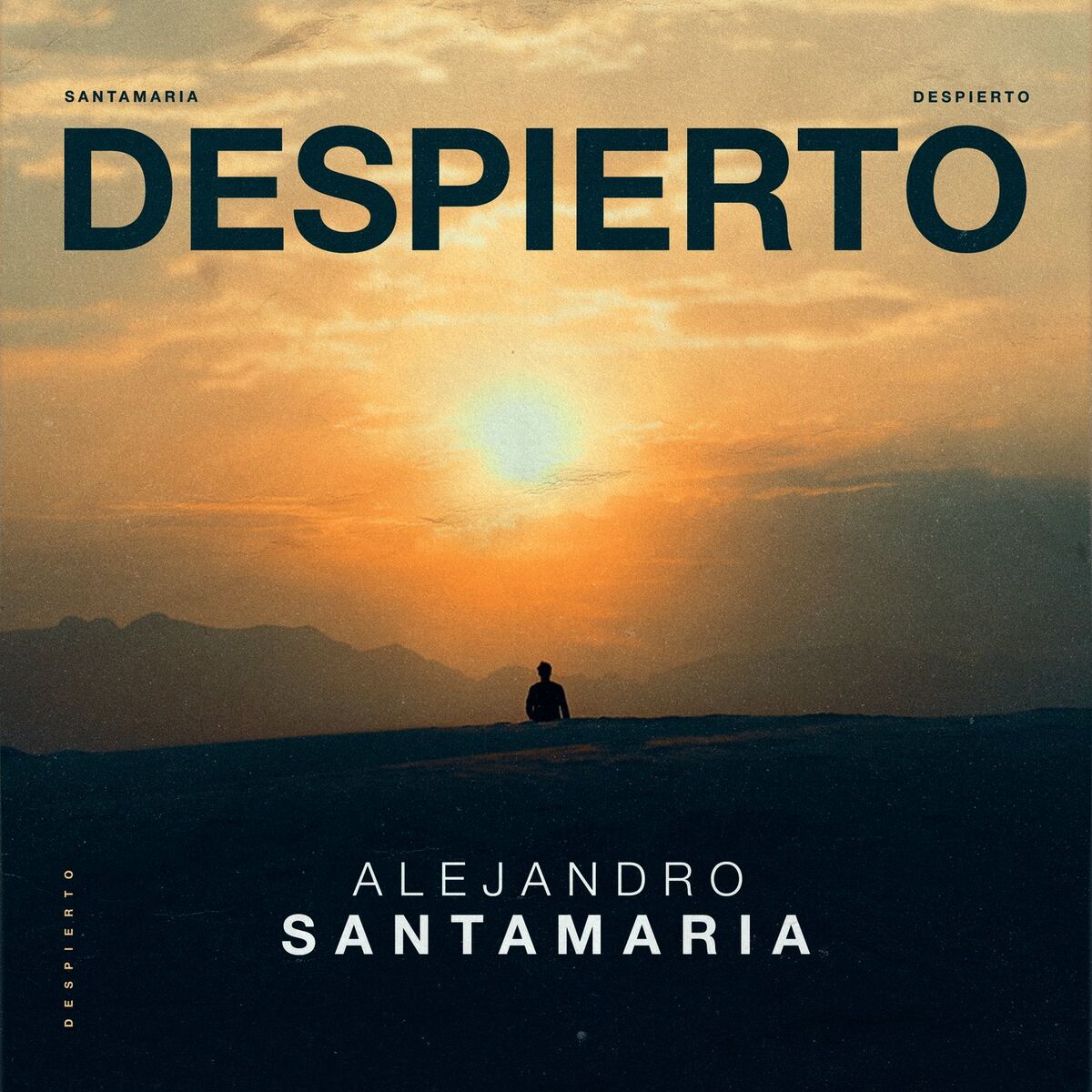 Album cover of 100
