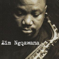 Cover of Zimology