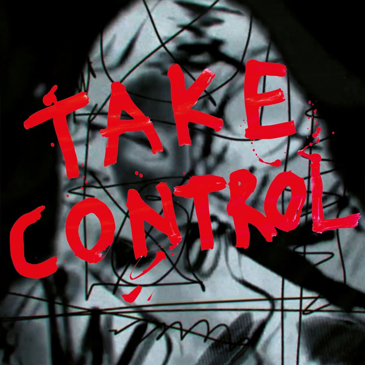 Album cover of Take Control