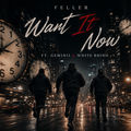 Want It Now (feat. White Rhino & Geminii)