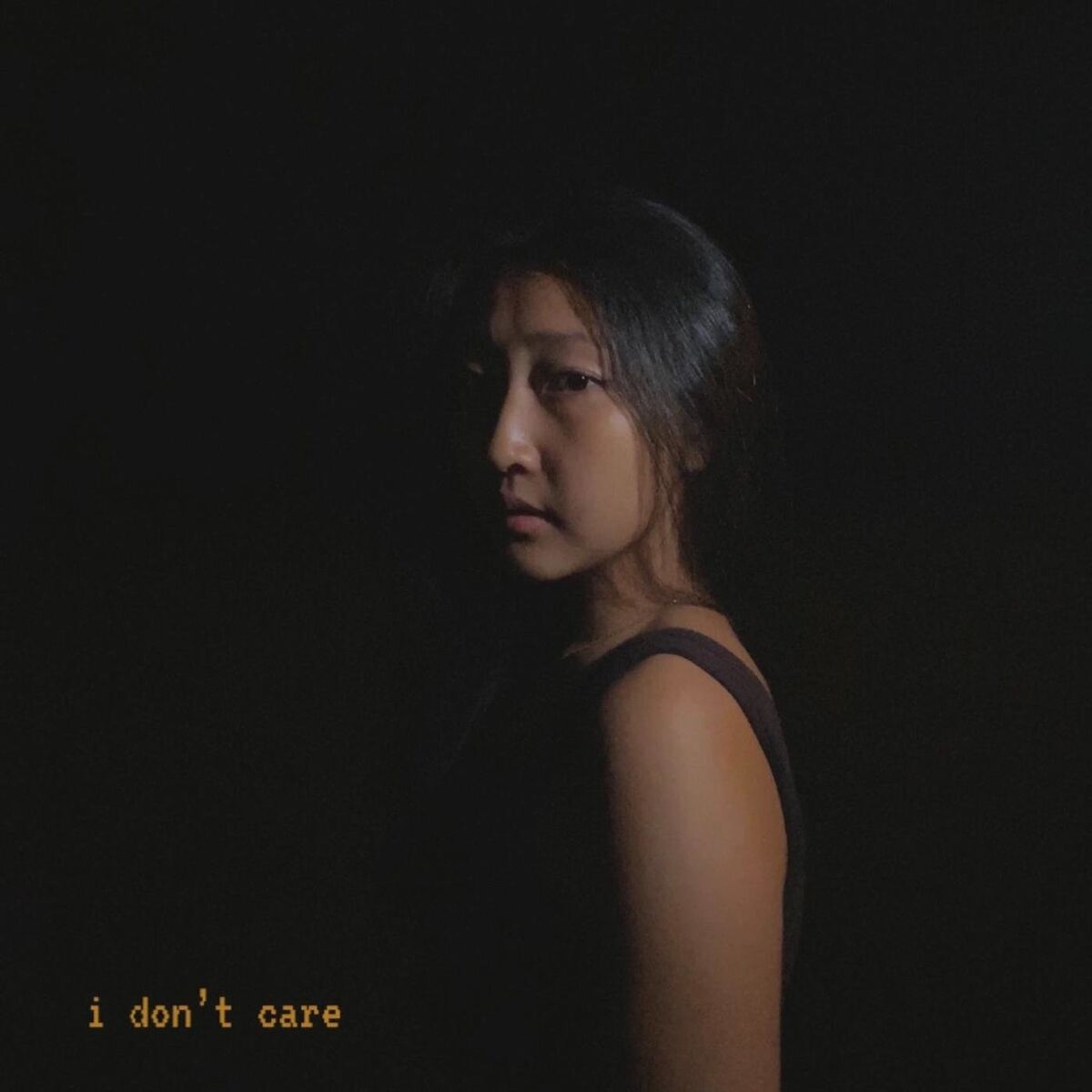 Album cover of I Don't Care