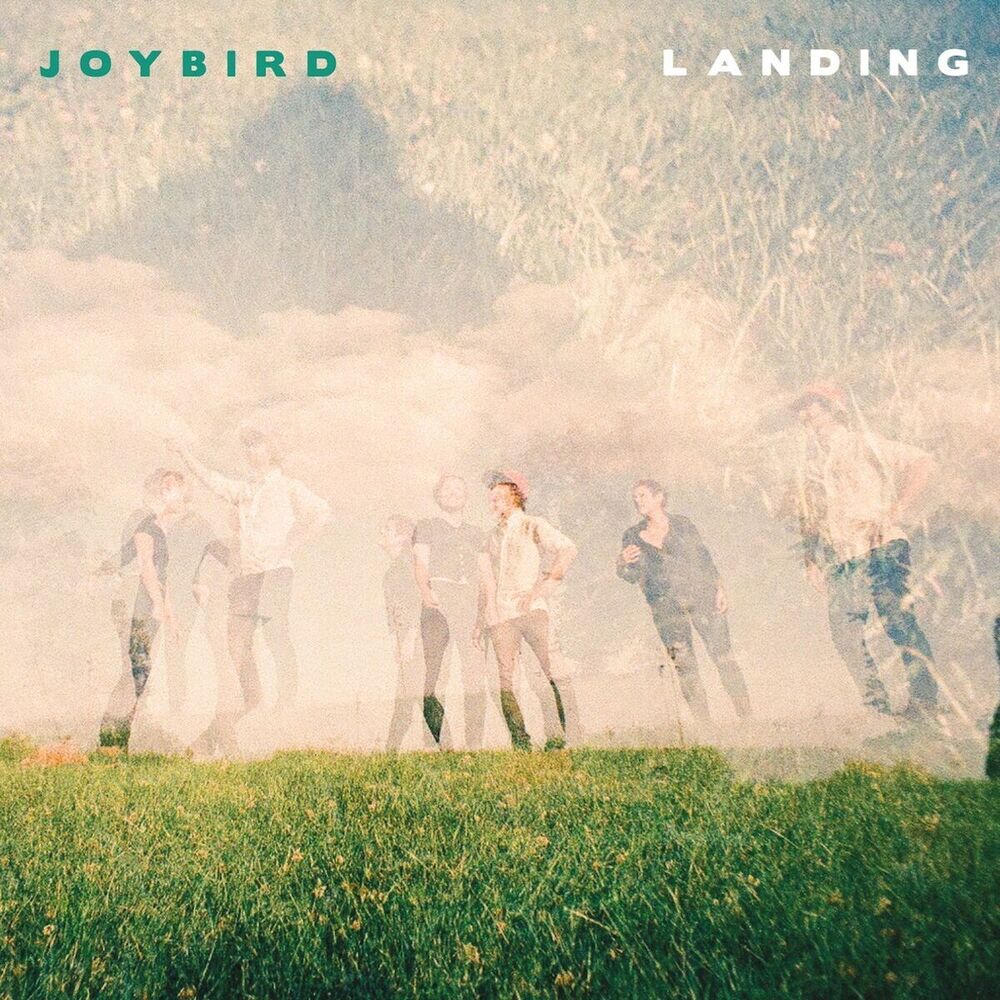 Picture of Landing