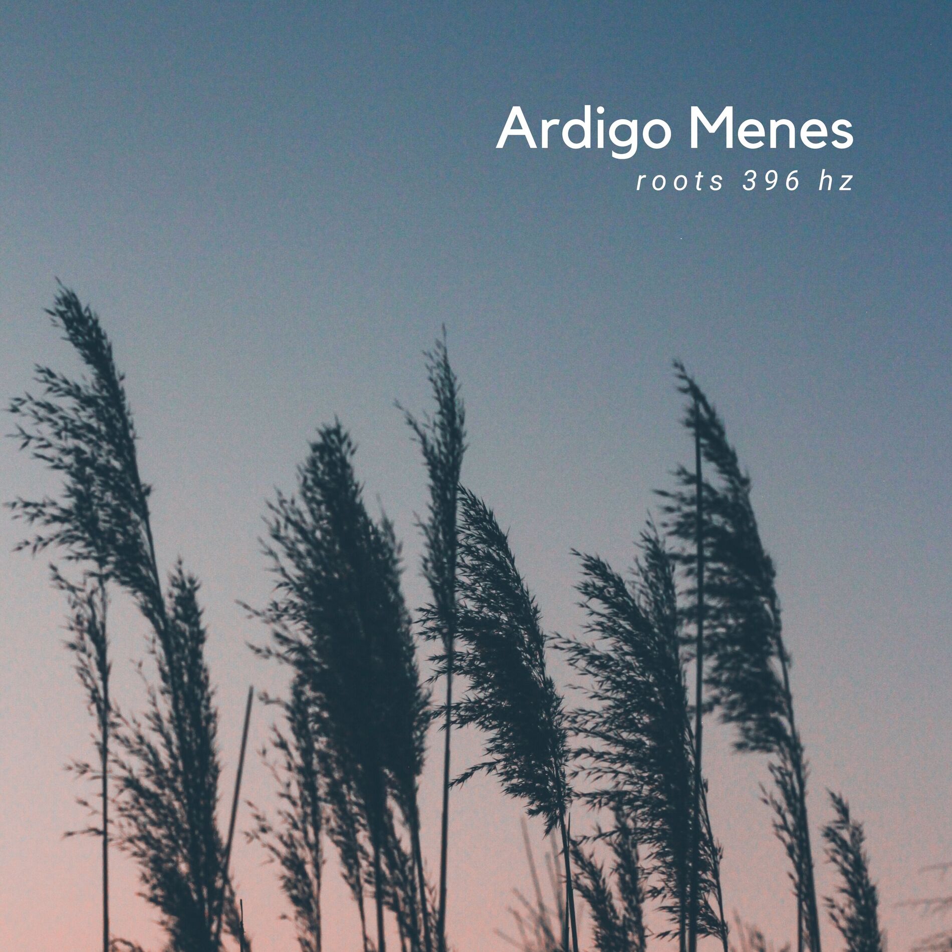 Album cover of Roots 396 Hz